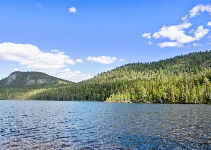 Tatil Evi Poelloelaakso By Interhome Ruka