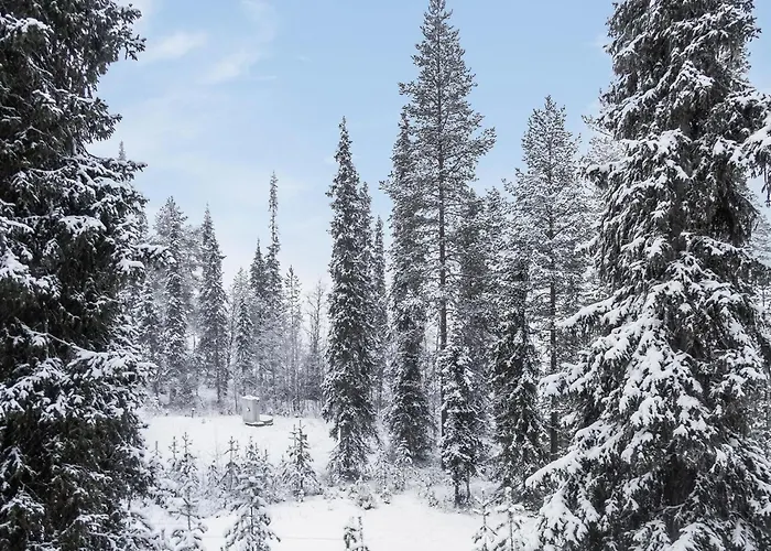 Poelloelaakso By Interhome Tatil Evi Ruka